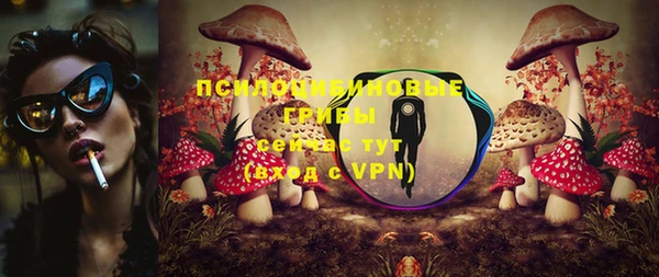 спиды Армянск