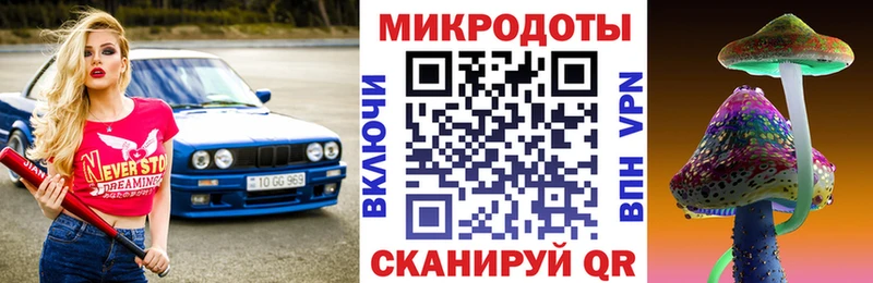 где можно купить наркотик Балашиха Псилоцибиновые грибы Magic Shrooms