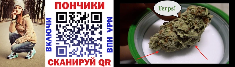 Шишки марихуана конопля где продают Балашиха